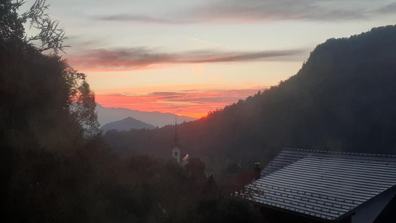 Alp House Otel Bohinjska Bela Dış mekan fotoğraf