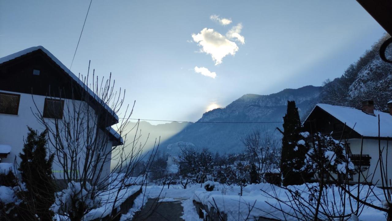 Alp House Otel Bohinjska Bela Dış mekan fotoğraf