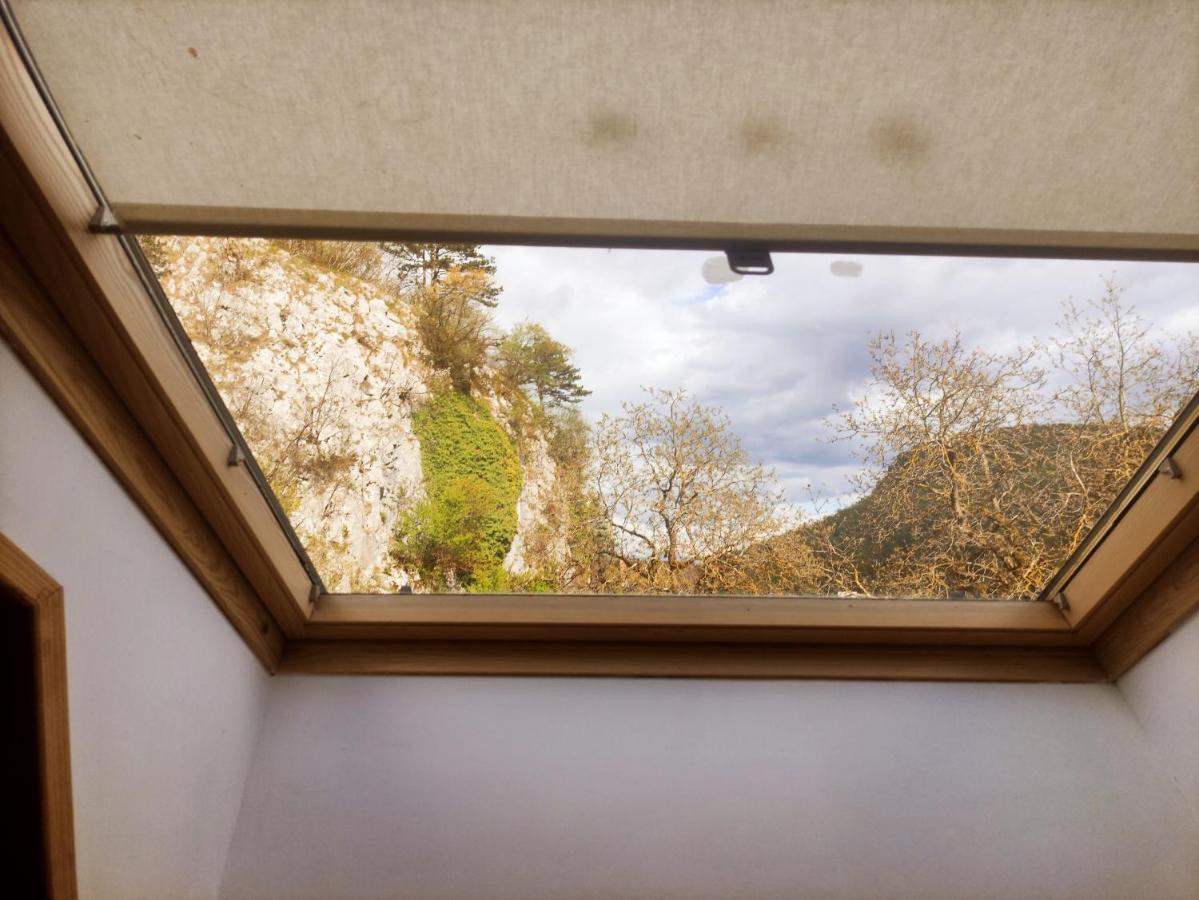 Alp House Otel Bohinjska Bela Dış mekan fotoğraf