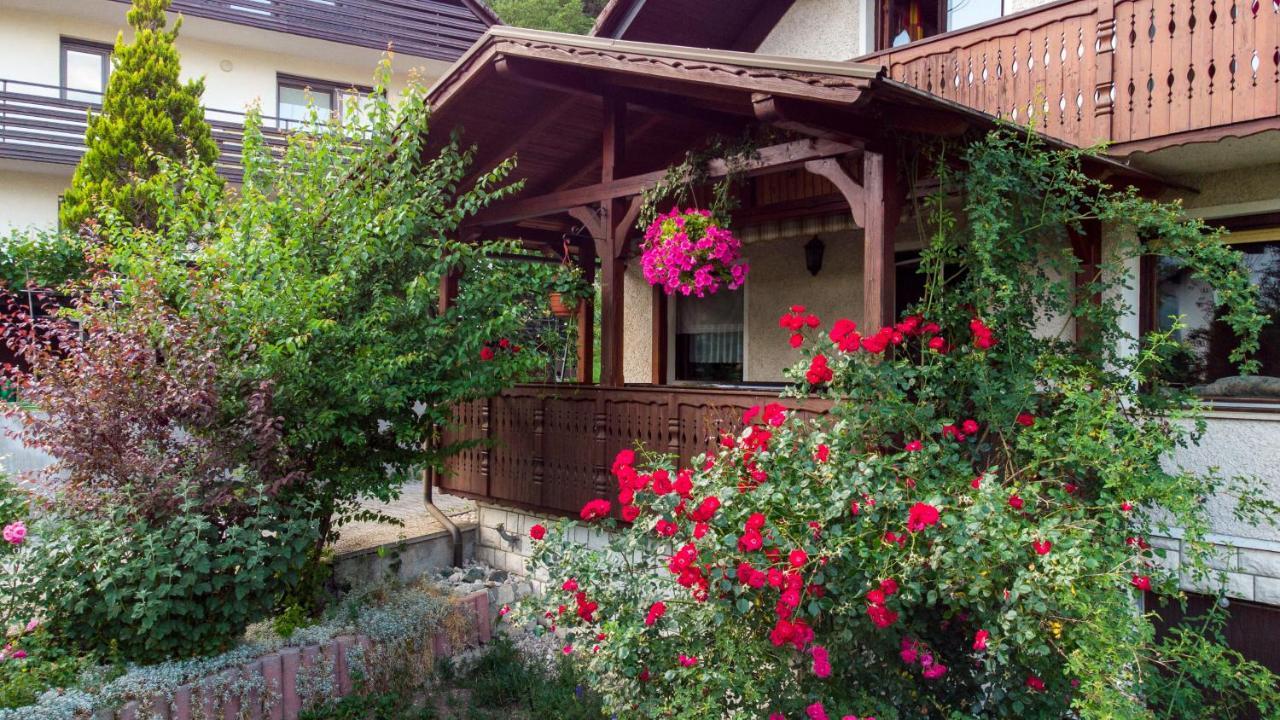 Alp House Otel Bohinjska Bela Dış mekan fotoğraf